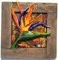 Bird of Paradise (18 3/4” square with frame - Sculptured Flower/mixed media on board)